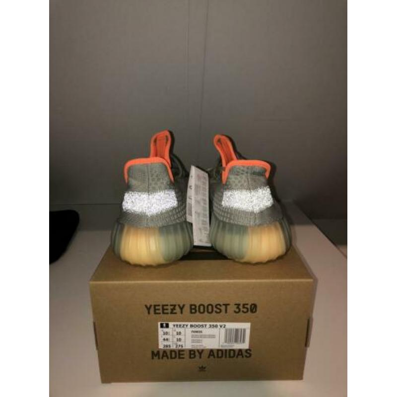 Yeezy Desert Sage 44 2/3