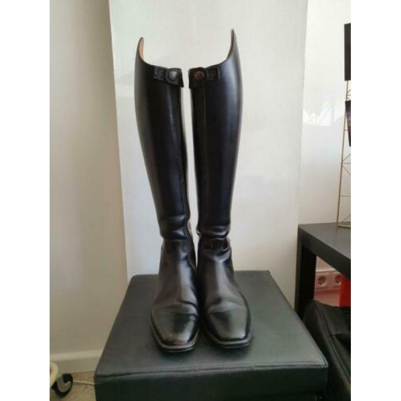 Dressuurlaarzen Petrie maat 39