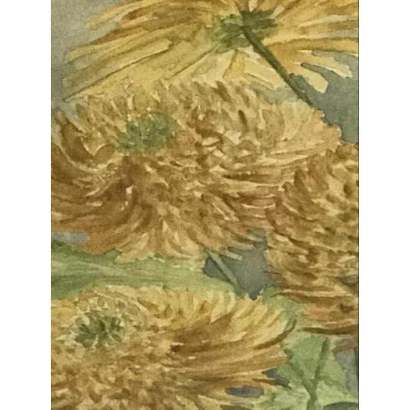 Herfts chrysanten aquarel 50x60 cm