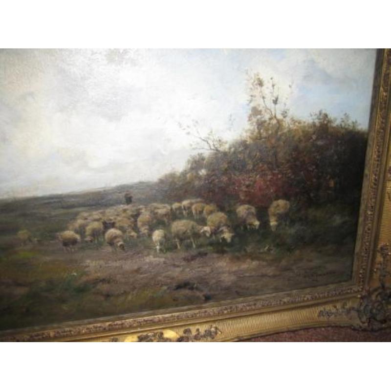 W. G. F. Jansen 1871 -1949