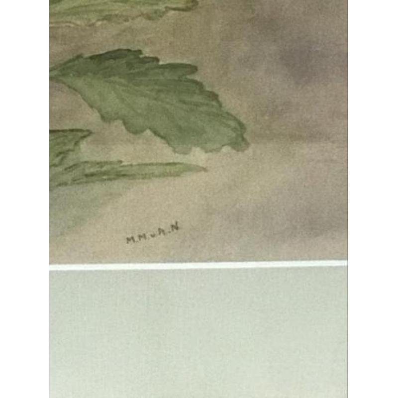 Herfts chrysanten aquarel 50x60 cm
