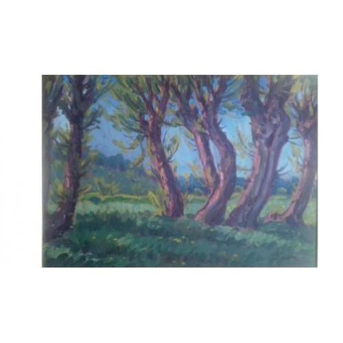 landschap onduidelijk gesigneerd schilderij