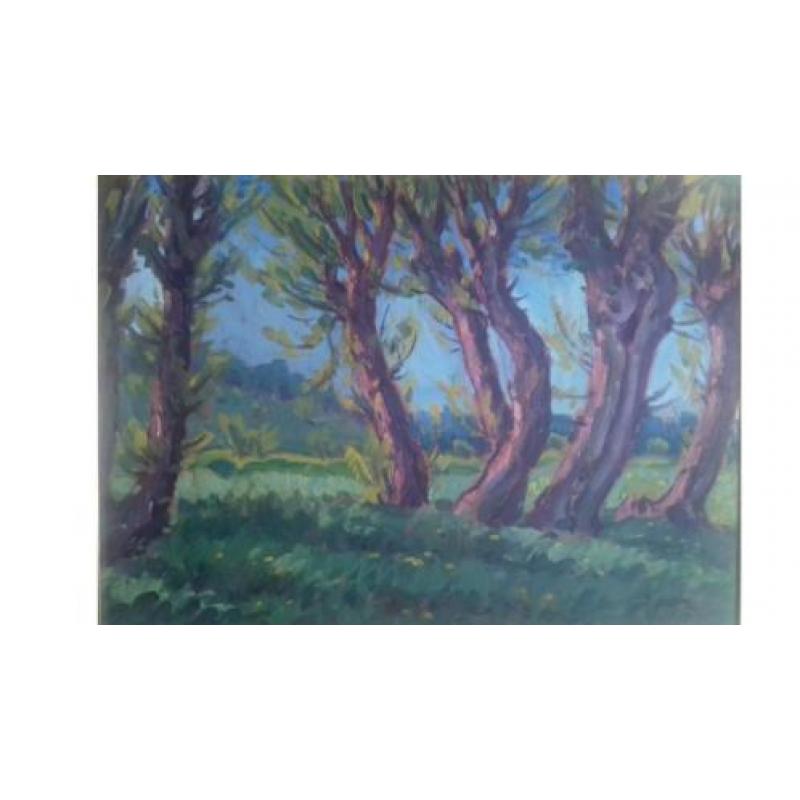 landschap onduidelijk gesigneerd schilderij