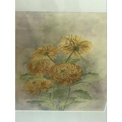 Herfts chrysanten aquarel 50x60 cm