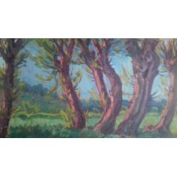 landschap onduidelijk gesigneerd schilderij