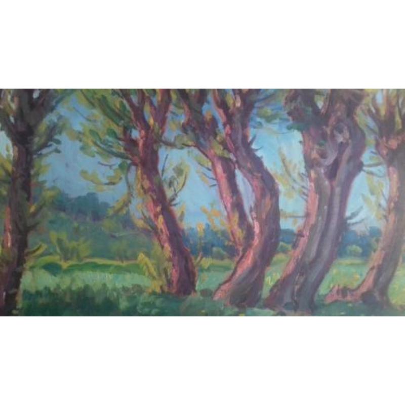 landschap onduidelijk gesigneerd schilderij