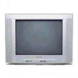 Te Koop Philips 21#PT5106 TV