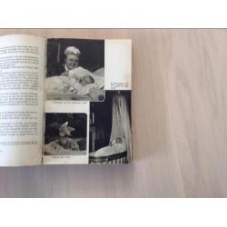 Spiegelserie:ONZE JONGE KONINGIN THUIS: dr. J. Waterink