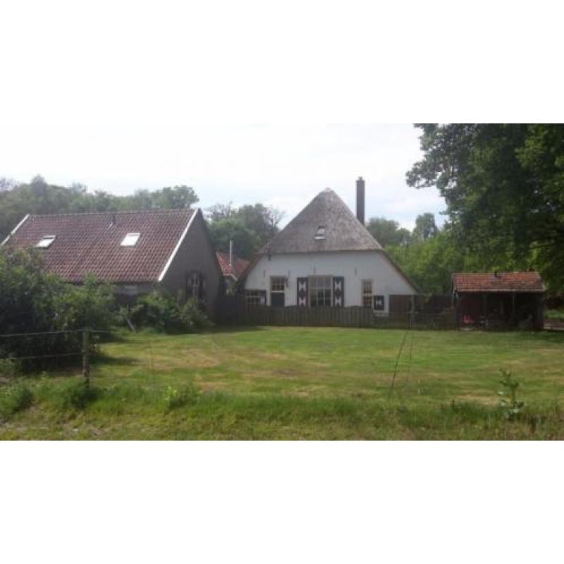 Gezocht boerderij of ruime boswachterswoning