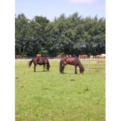 Gezocht boerderij of ruime boswachterswoning
