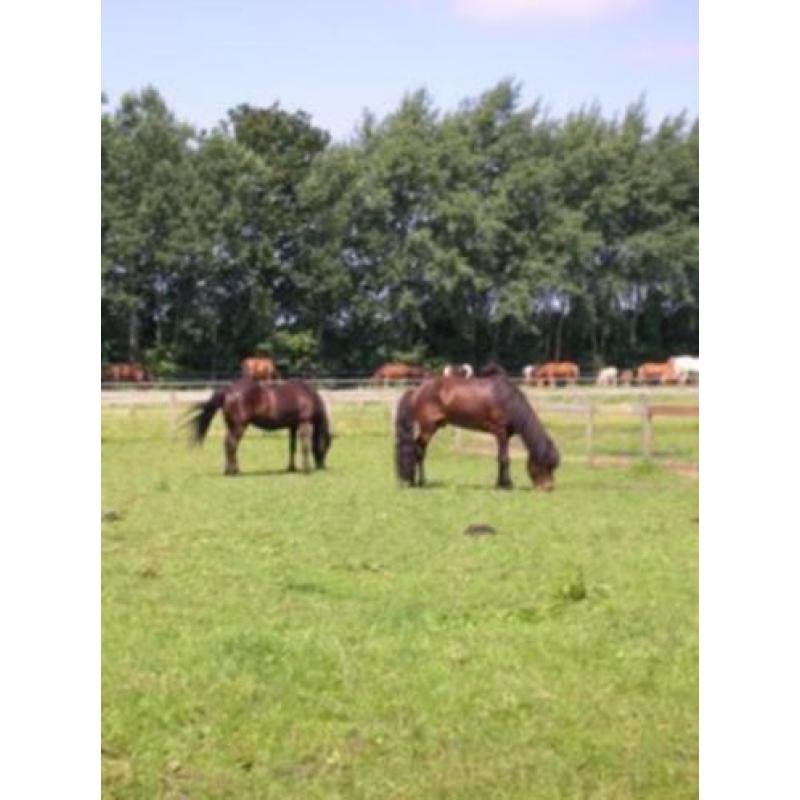 Gezocht boerderij of ruime boswachterswoning