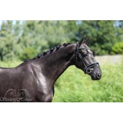 Knappe zwarte ruin van Glamourdale te koop!