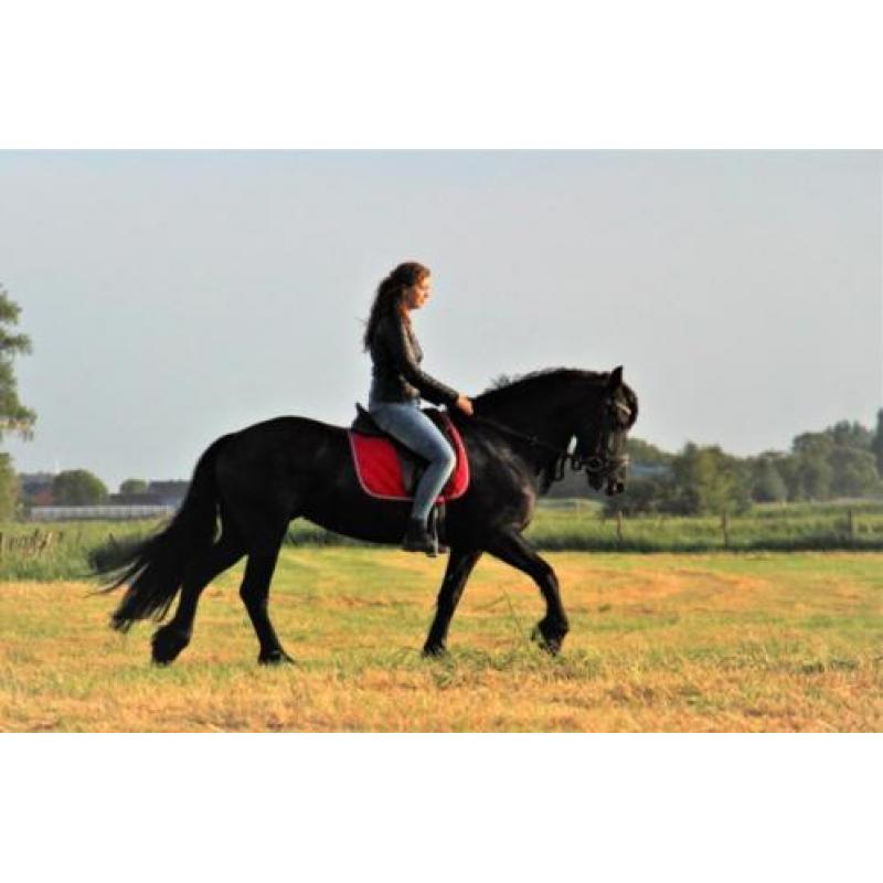Brave Friese merrie, bereden, vol papier!