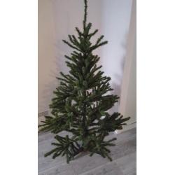 3 mooie kerstbomen