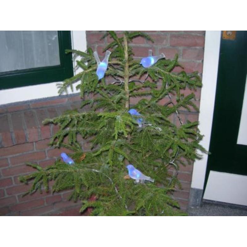 Een snoer met 5 blauwe vogeltjes ,