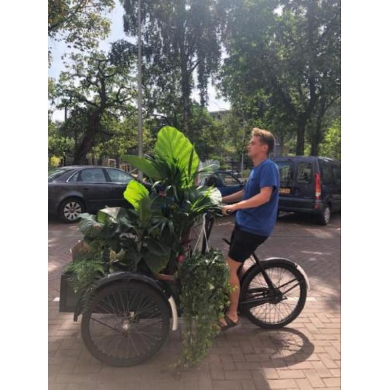 Oude bakfiets te huur