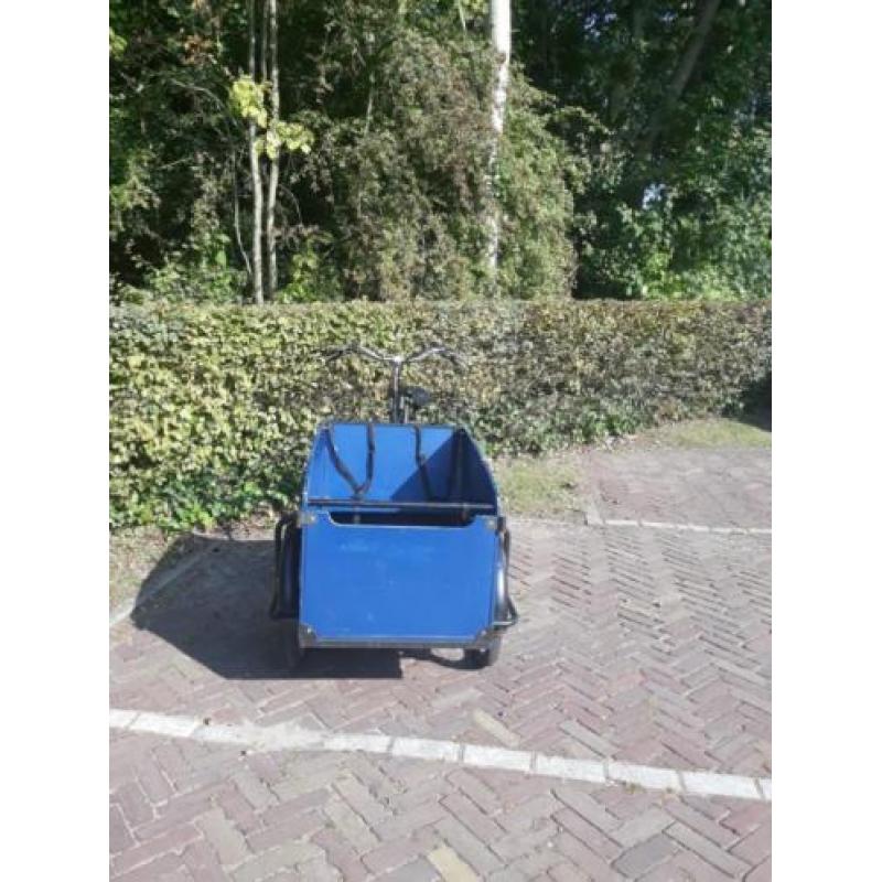 Leuke blauwe bakfiets te koop