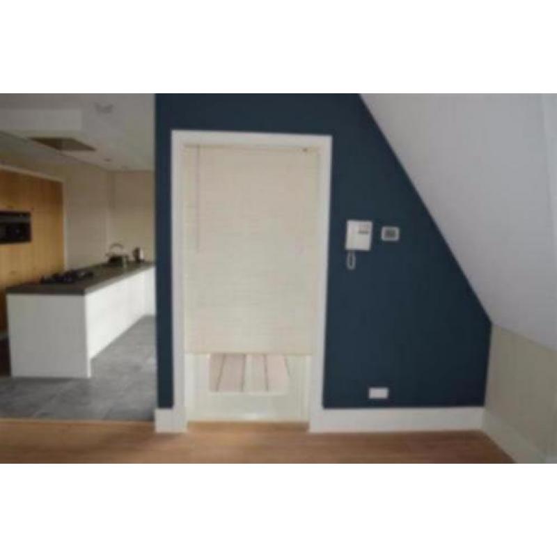 Houten witte blinds 25mm breed VANAF €20 per stuk
