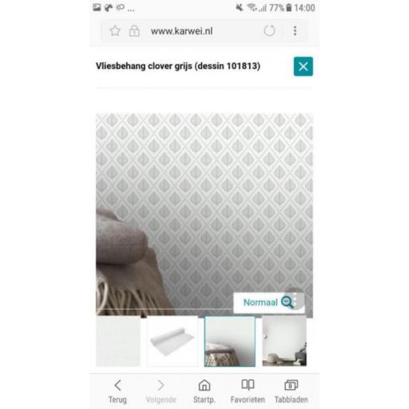 2 nieuwe rollen vliesbehang van Karwei