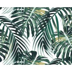 Vlies behang Birds of Paradise * Muurdeco4kids