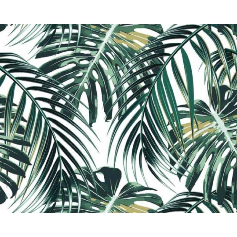 Vlies behang Birds of Paradise * Muurdeco4kids