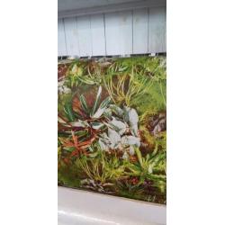 Behang nieuw groen planten