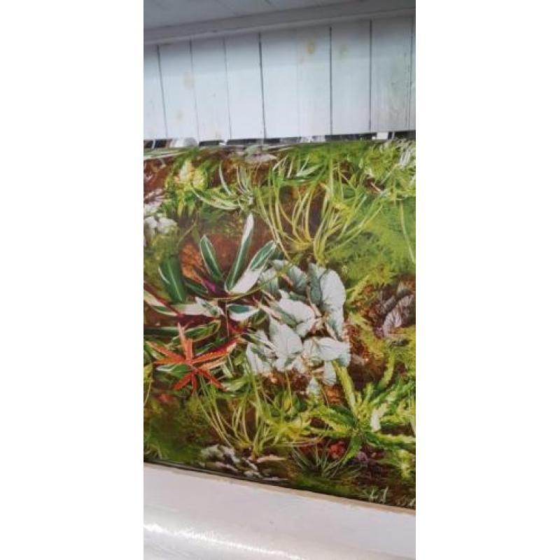 Behang nieuw groen planten