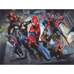 Spiderman behang fotobehang Rush Alles voorde Spidermankamer