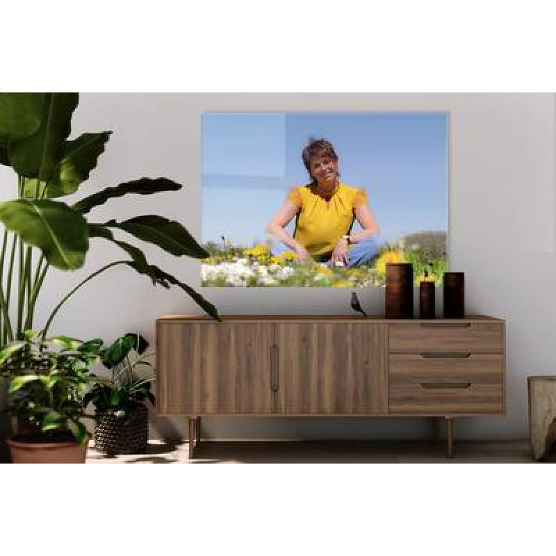 Foto op plexiglas 130x280 cm